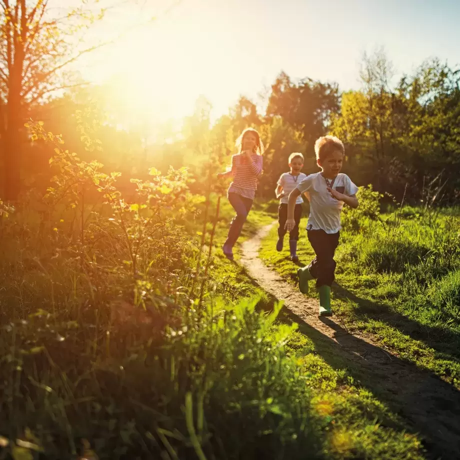 Children playing in sunny field